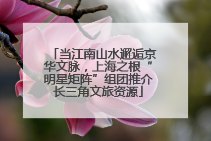 当江南山水邂逅京华文脉，上海之根“明星矩阵”组团推介长三角文旅资源