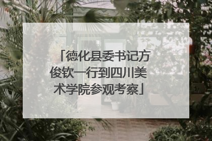 德化县委书记方俊钦一行到四川美术学院参观考察