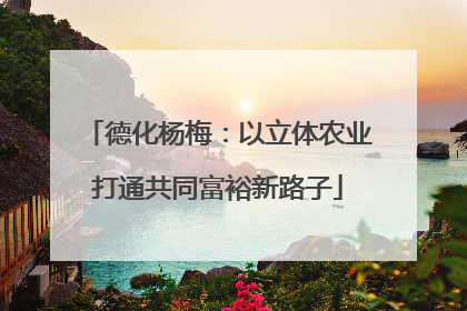 德化杨梅：以立体农业打通共同富裕新路子