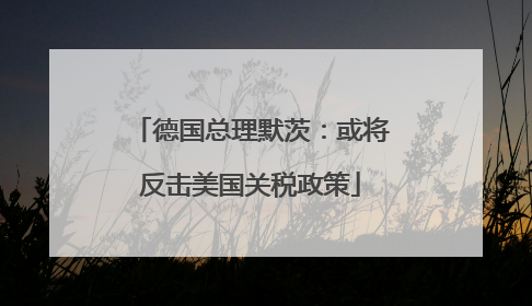 德国总理默茨：或将反击美国关税政策