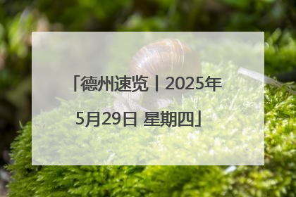德州速览丨2025年5月29日 星期四