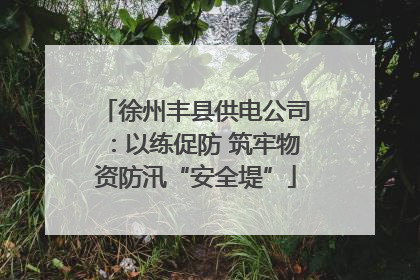 徐州丰县供电公司：以练促防 筑牢物资防汛“安全堤”