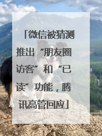 微信被猜测推出“朋友圈访客”和“已读”功能，腾讯高管回应