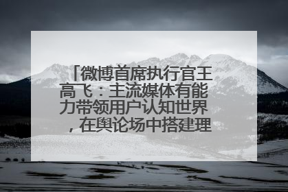 微博首席执行官王高飞：主流媒体有能力带领用户认知世界，在舆论场中搭建理性的讨论空间