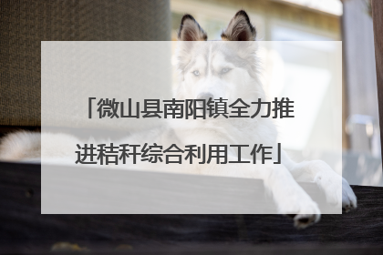 微山县南阳镇全力推进秸秆综合利用工作