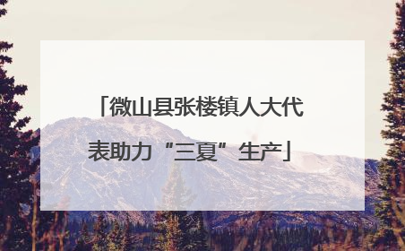 微山县张楼镇人大代表助力“三夏”生产
