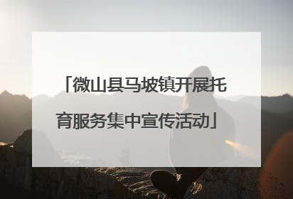 微山县马坡镇开展托育服务集中宣传活动