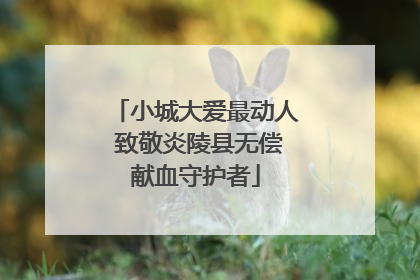 小城大爱最动人 致敬炎陵县无偿献血守护者