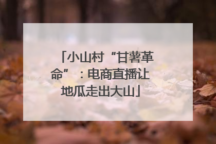 小山村“甘薯革命”：电商直播让地瓜走出大山