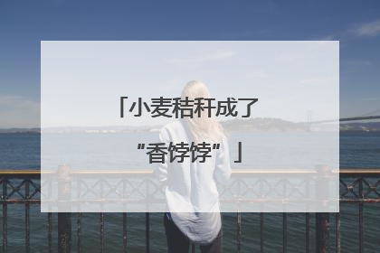 小麦秸秆成了“香饽饽”