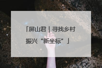 屏山君｜寻找乡村振兴“新坐标”
