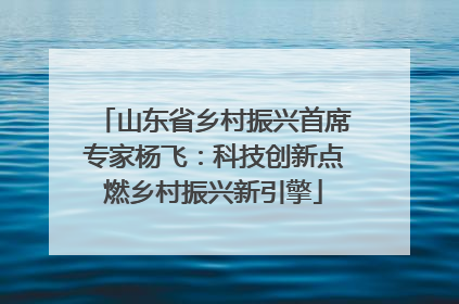 山东省乡村振兴首席专家杨飞：科技创新点燃乡村振兴新引擎