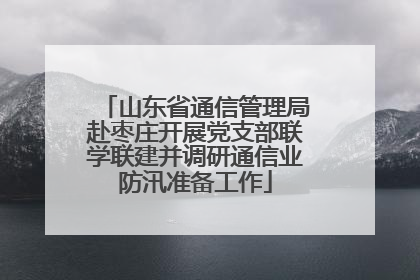 山东省通信管理局赴枣庄开展党支部联学联建并调研通信业防汛准备工作