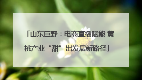 山东巨野：电商直播赋能 黄桃产业“甜”出发展新路径