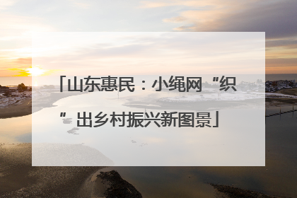 山东惠民：小绳网“织”出乡村振兴新图景