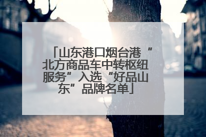 山东港口烟台港“北方商品车中转枢纽服务”入选“好品山东”品牌名单
