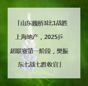 山东魏桥3比1战胜上海地产，2025乒超联赛第一阶段，樊振东七战七胜收官