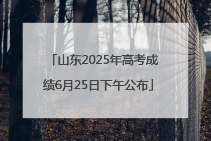 山东2025年高考成绩6月25日下午公布