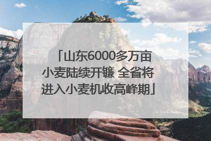 山东6000多万亩小麦陆续开镰 全省将进入小麦机收高峰期
