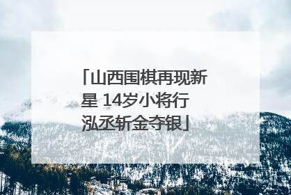 山西围棋再现新星 14岁小将行泓丞斩金夺银