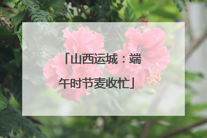 山西运城：端午时节麦收忙