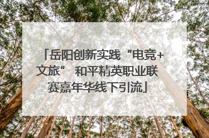 岳阳创新实践“电竞+文旅” 和平精英职业联赛嘉年华线下引流