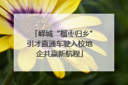 峄城“榴枣归乡”引才直通车驶入校地企共赢新航程