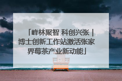 峰林聚智 科创兴张｜博士创新工作站激活张家界莓茶产业新动能