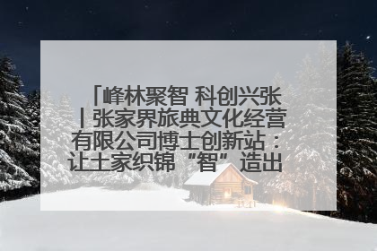 峰林聚智 科创兴张丨张家界旅典文化经营有限公司博士创新站：让土家织锦“智”造出非遗新传奇