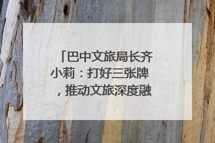 巴中文旅局长齐小莉：打好三张牌，推动文旅深度融合｜文旅局长说