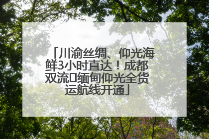 川渝丝绸、仰光海鲜3小时直达！成都双流⇌缅甸仰光全货运航线开通
