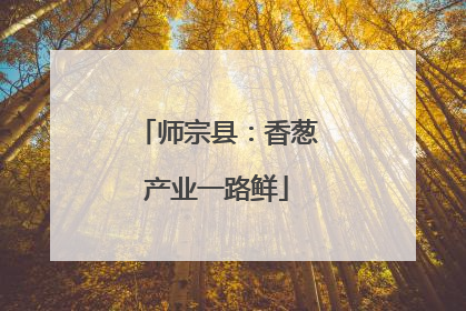 师宗县：香葱产业一路鲜