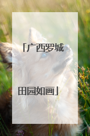 广西罗城田园如画