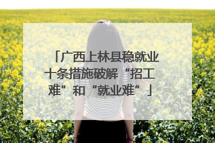 广西上林县稳就业十条措施破解“招工难”和“就业难”