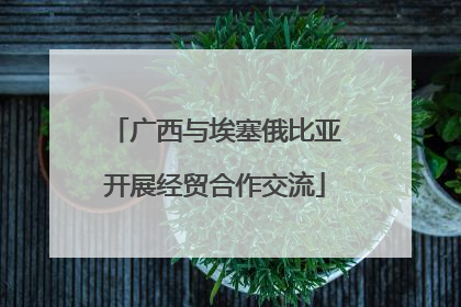 广西与埃塞俄比亚开展经贸合作交流