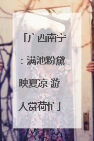 广西南宁：满池粉黛映夏凉 游人赏荷忙