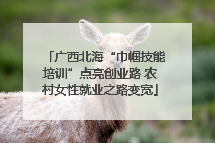 广西北海“巾帼技能培训”点亮创业路 农村女性就业之路变宽