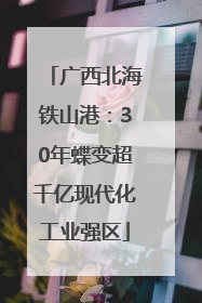 广西北海铁山港：30年蝶变超千亿现代化工业强区