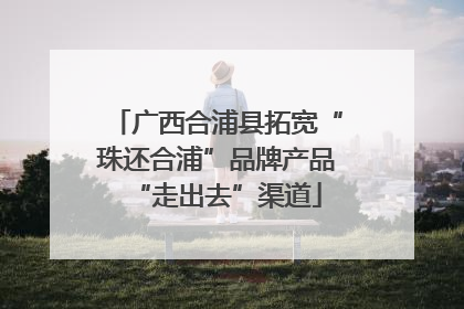 广西合浦县拓宽“珠还合浦”品牌产品“走出去”渠道