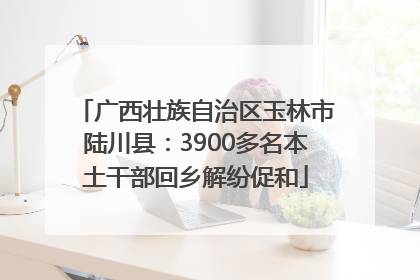 广西壮族自治区玉林市陆川县：3900多名本土干部回乡解纷促和