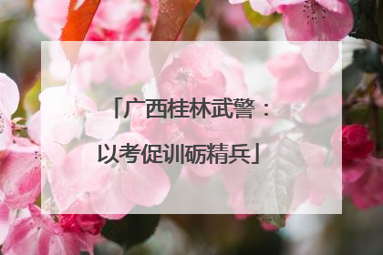 广西桂林武警：以考促训砺精兵
