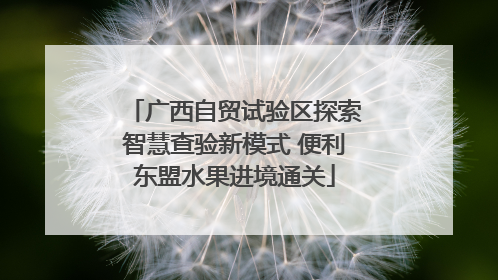 广西自贸试验区探索智慧查验新模式 便利东盟水果进境通关