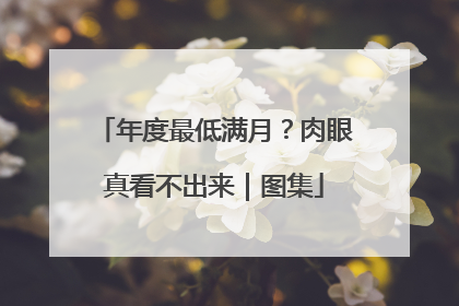 年度最低满月？肉眼真看不出来｜图集