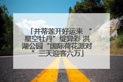 并蒂莲开好运来 “星空牡丹”绽异彩 洪湖公园“国际荷花派对”三天迎客六万