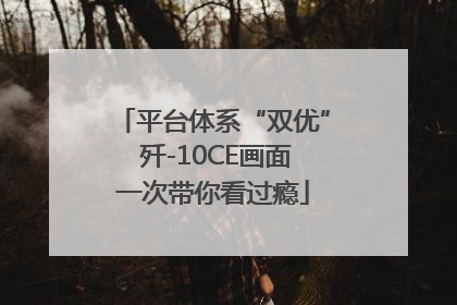平台体系“双优” 歼-10CE画面一次带你看过瘾