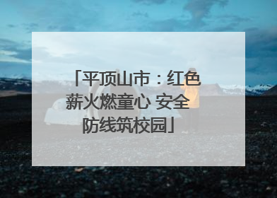 平顶山市：红色薪火燃童心 安全防线筑校园