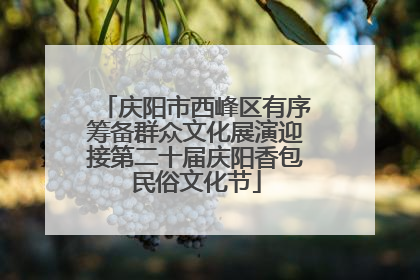 庆阳市西峰区有序筹备群众文化展演迎接第二十届庆阳香包民俗文化节