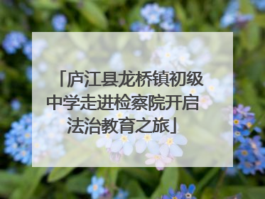 庐江县龙桥镇初级中学走进检察院开启法治教育之旅