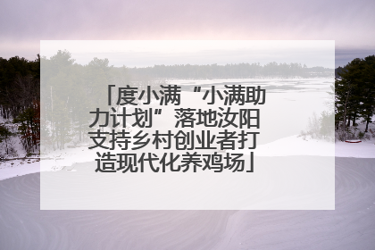 度小满“小满助力计划”落地汝阳支持乡村创业者打造现代化养鸡场