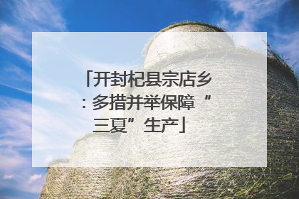 开封杞县宗店乡：多措并举保障“三夏”生产